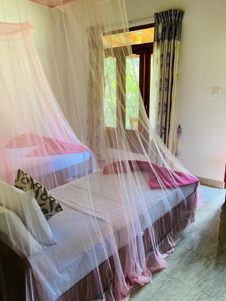 エッラ Silent Nest Bed & Breakfast エクステリア 写真