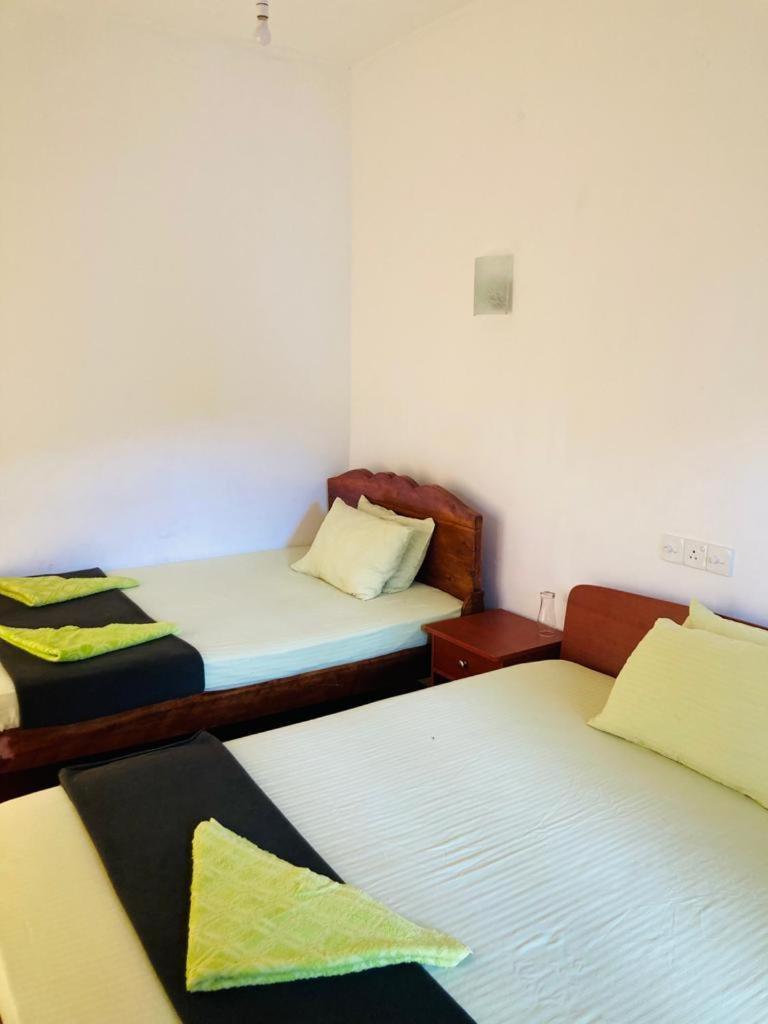 エッラ Silent Nest Bed & Breakfast エクステリア 写真